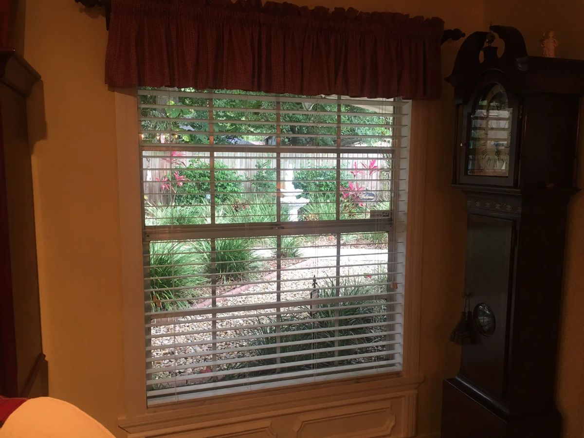 Window Blinds