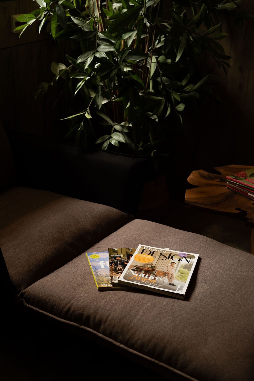 Een donkere fauteuil met tijdschriften op de zitting, naast een potplant in gedempt licht.