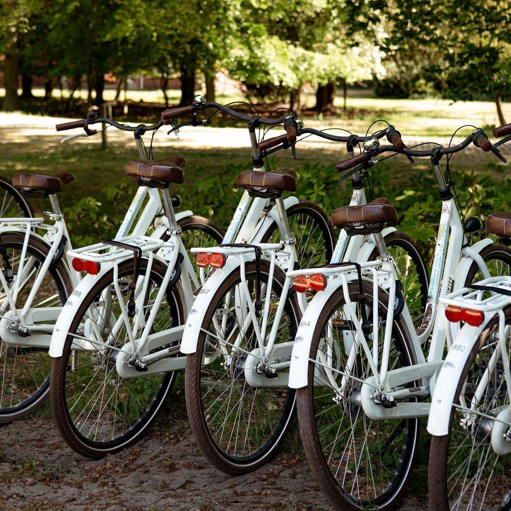 Een rij witte fietsen met bruine zadels staat geparkeerd in een groene buitenruimte.