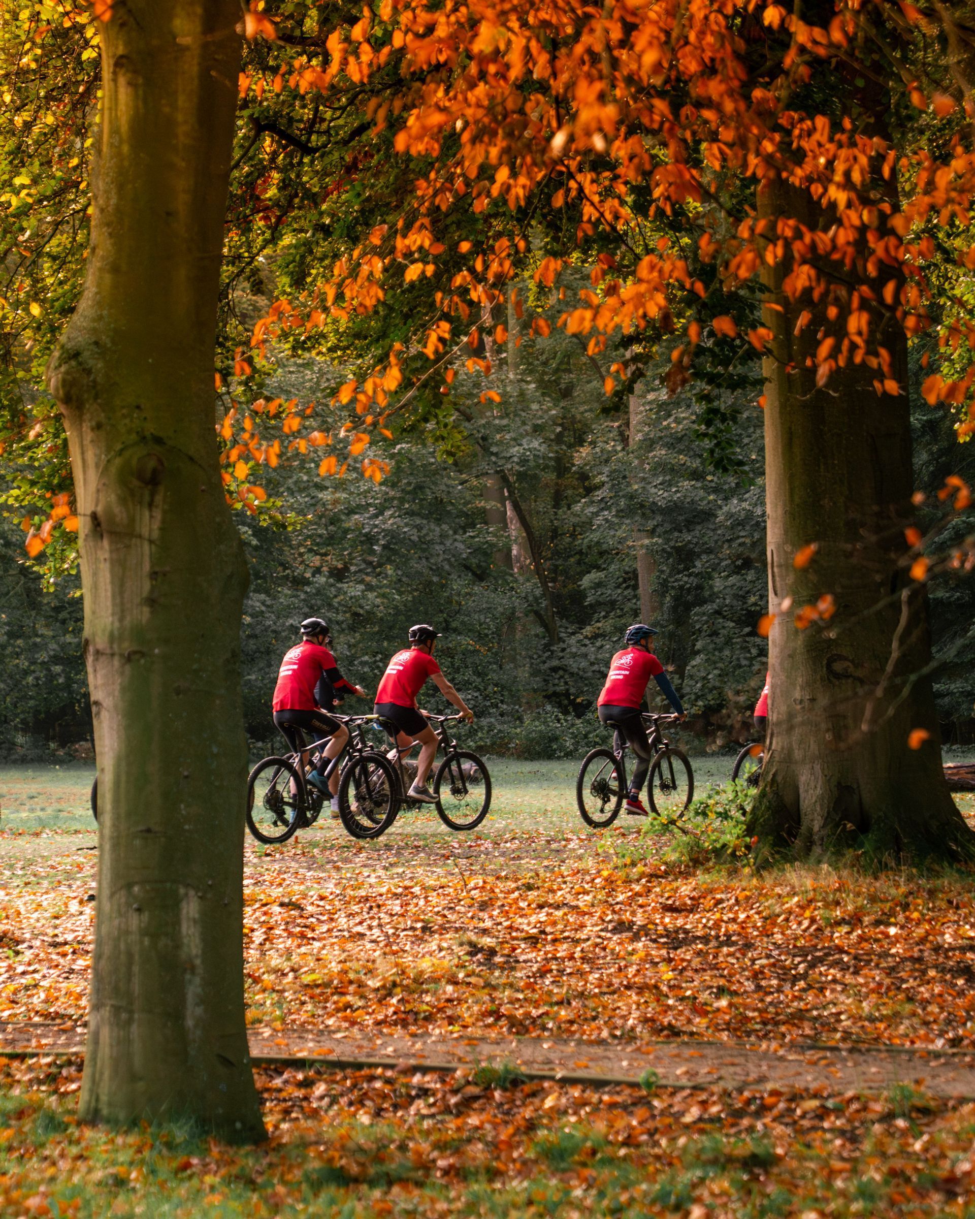 Cyclists in red jackets riding through an autumn park with orange leaves and trees