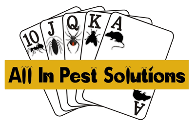All In Pest Solutions All In Pest Solutions