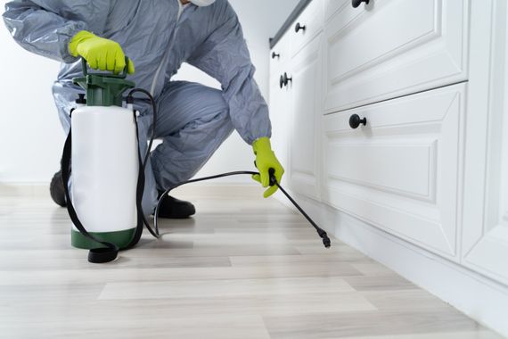 german cockroach removal pahrump