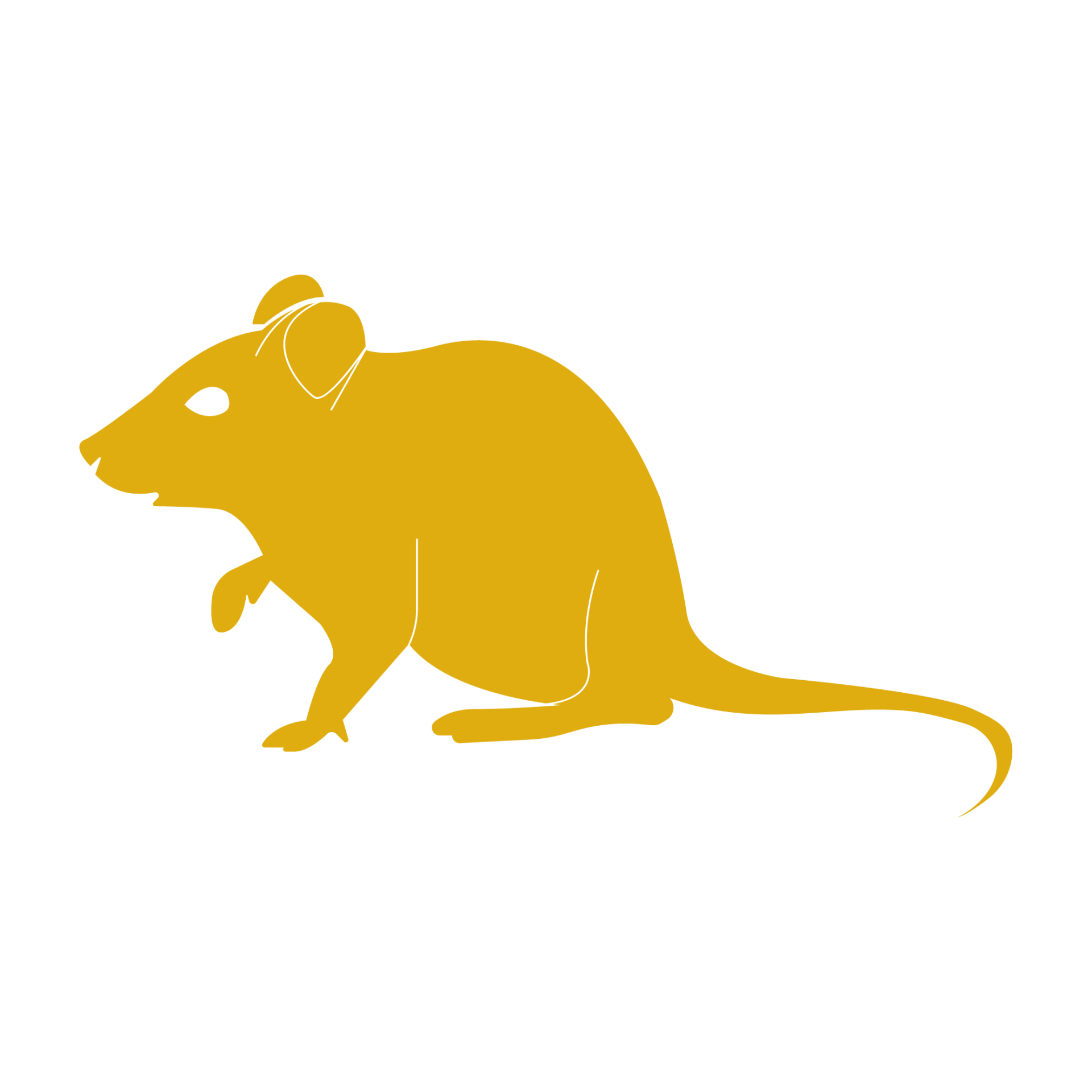 german cockroach removal pahrump