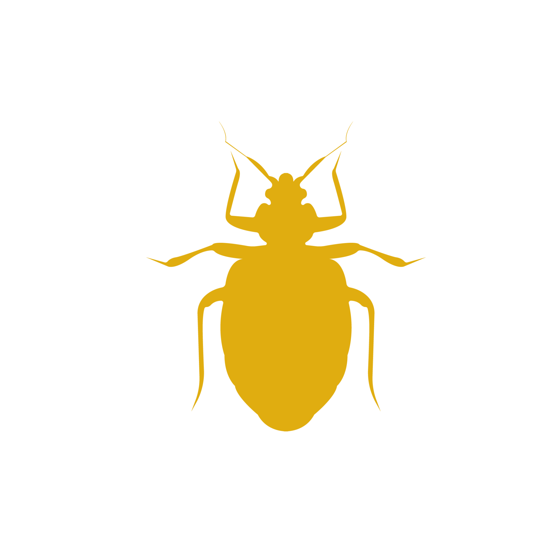 pest control for bed bugs pahrump