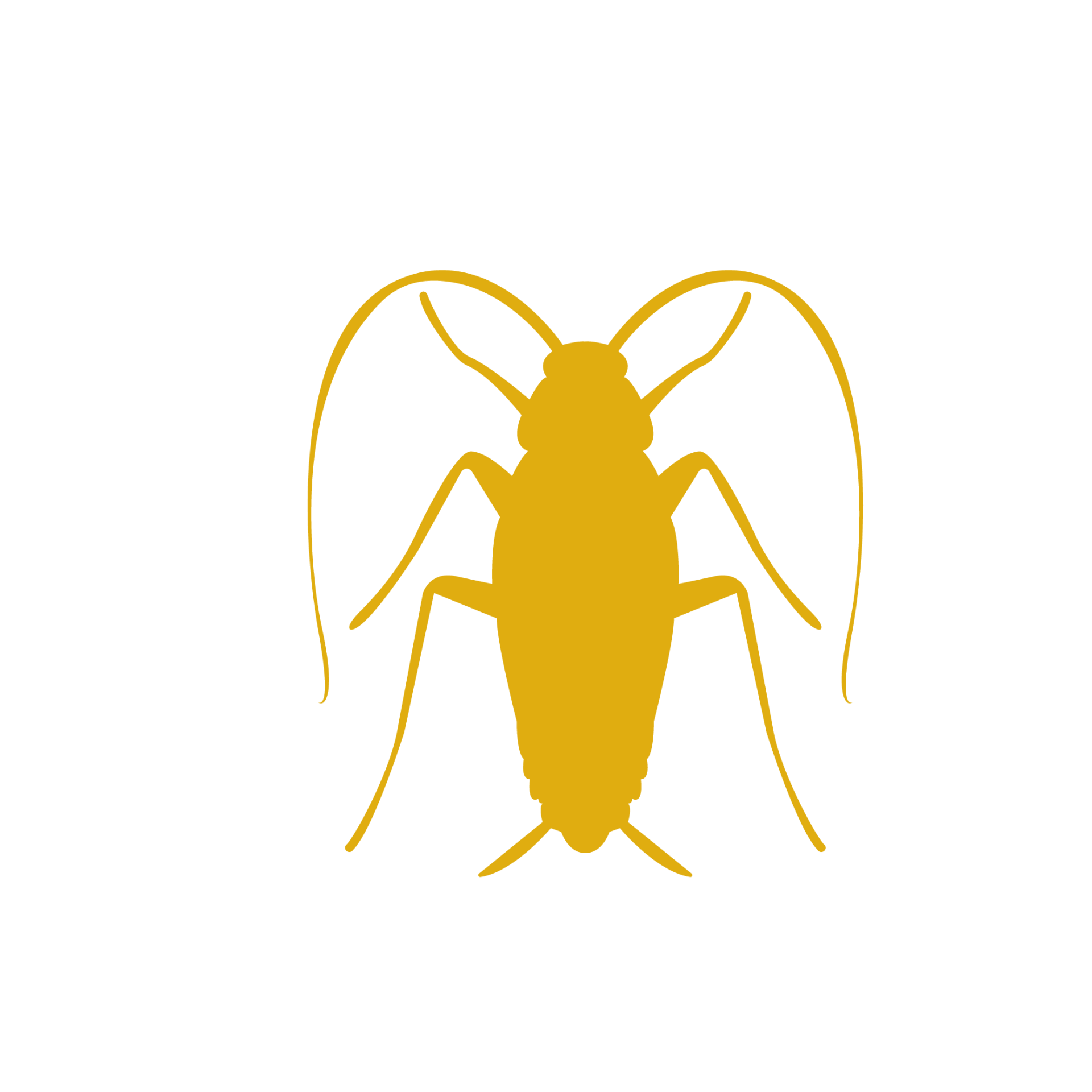 Pest Control Bed Bugs, Termites & More in Pahrump NV