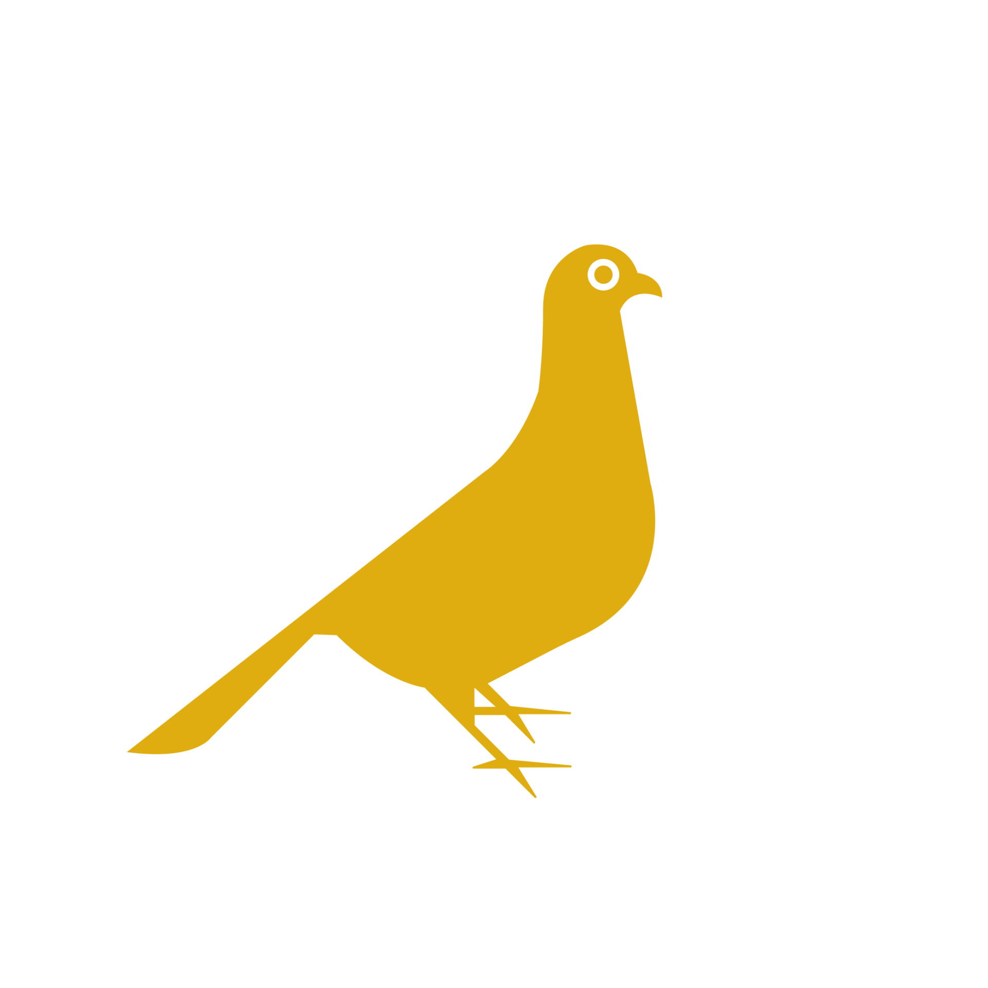 Pest Control Bed Bugs, Termites & More in Pahrump NV