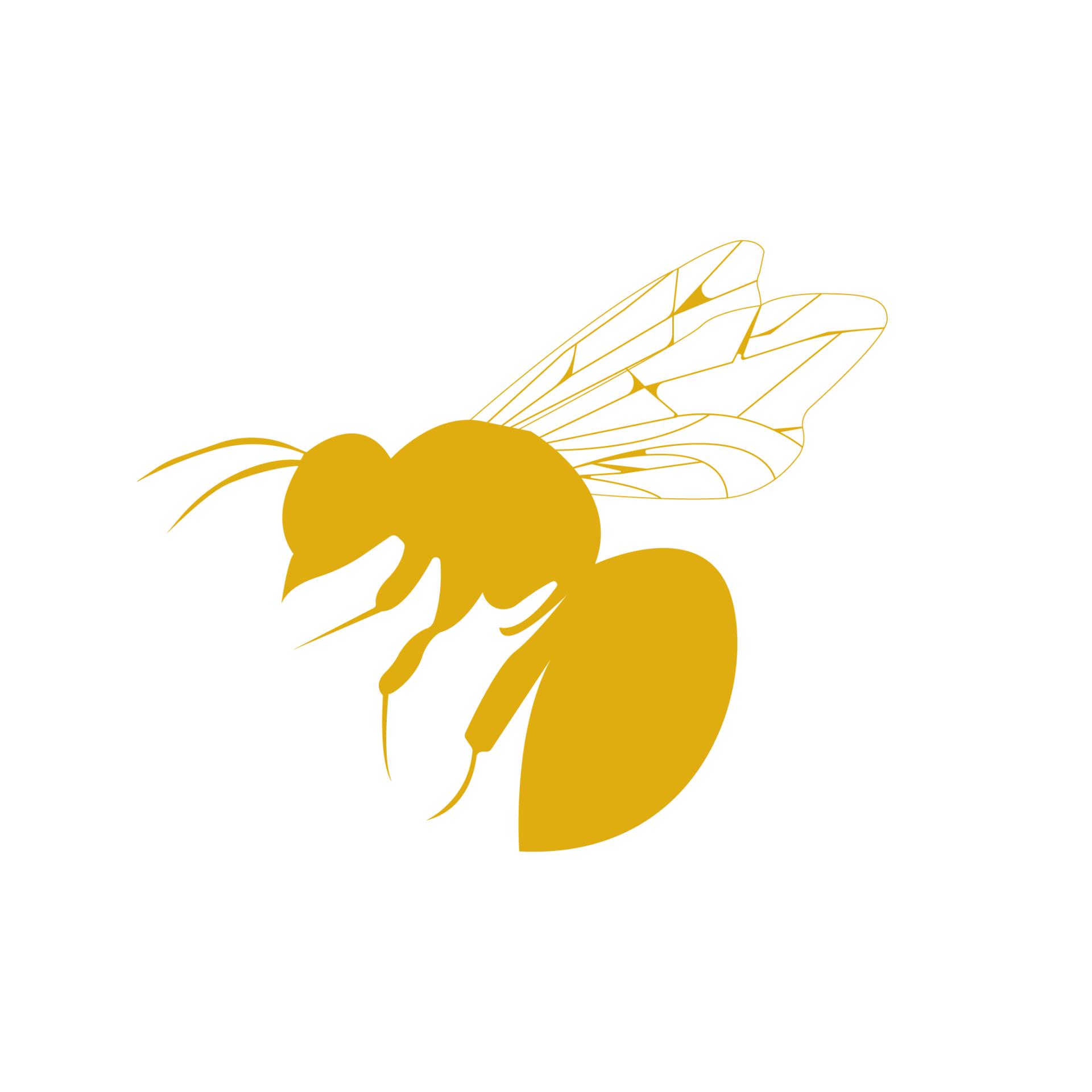 Pest Control Bed Bugs, Termites & More in Pahrump NV