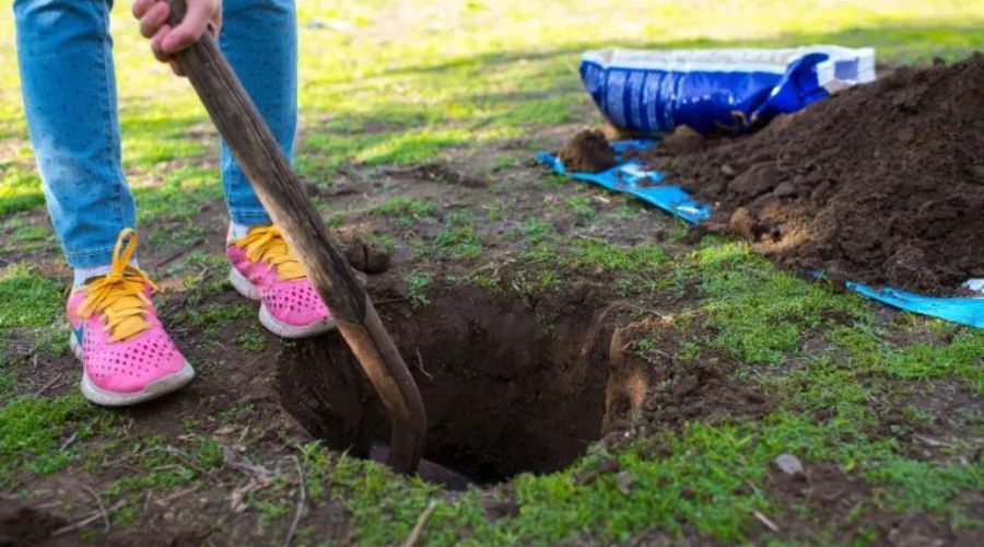 Digging a deep fence post hole in a grassy backyard with a shovel.