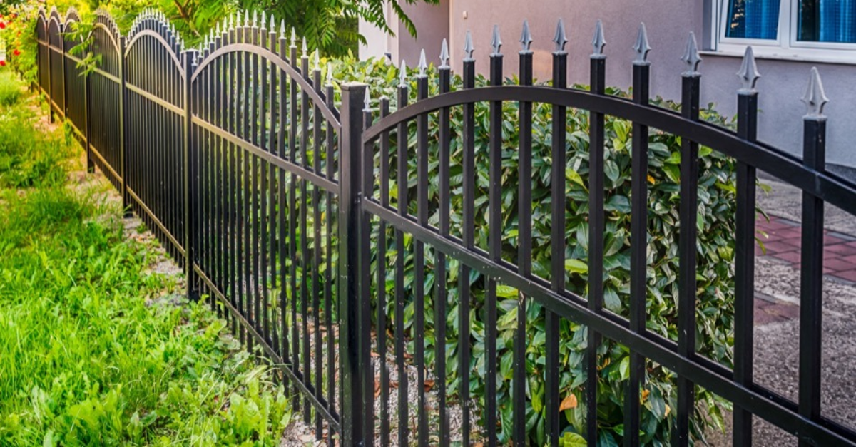 Black wrought iron fence in front of a green hedge and grass. Sunlight on the left.