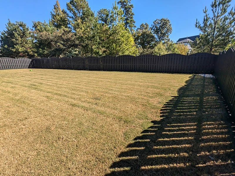 A yard with a wooden fence and trees in the background