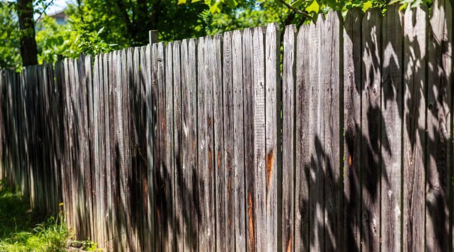 A weathered, vertical wood picket fence stands outdoors with sunlight casting dappled shadows across its surface.