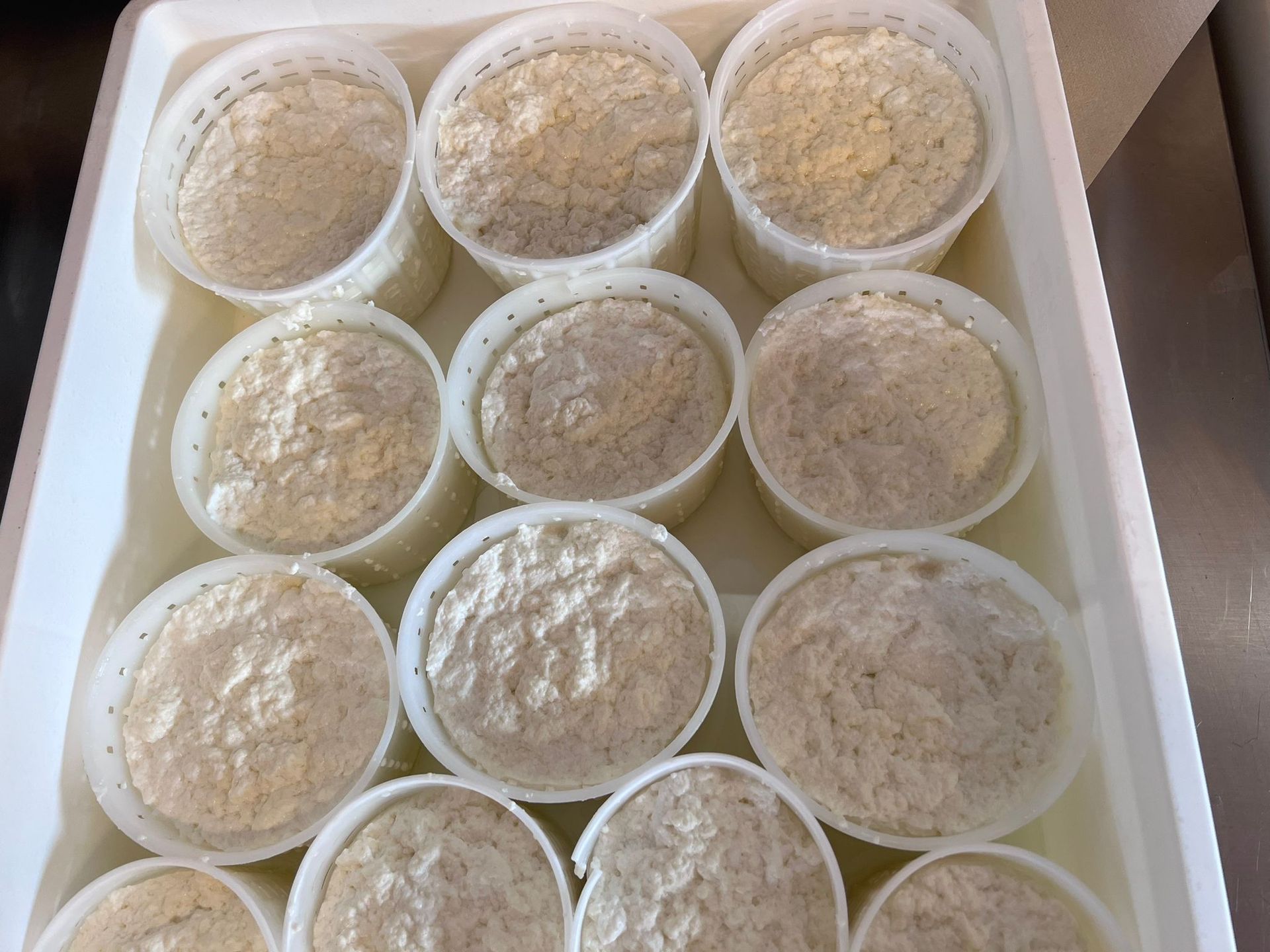 Un contenitore bianco pieno di piccole tazze di cibo