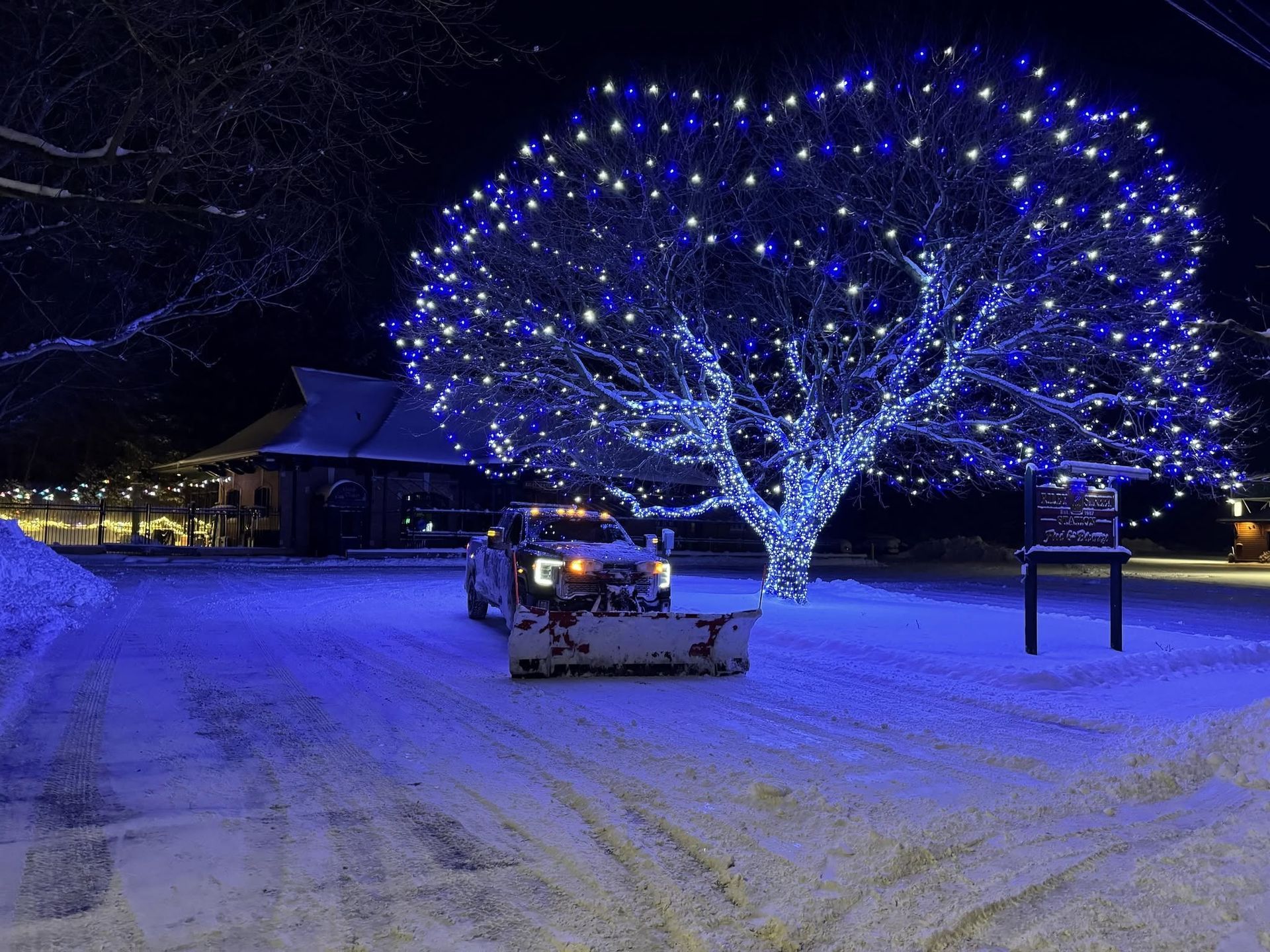 Snowy park at night with a tree covered in blue holiday lights and a snowplow in the foreground
