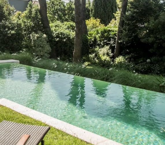 Piscina tropical en el patio trasero con agua azul cristalina, borde de piedra y exuberante vegetación.