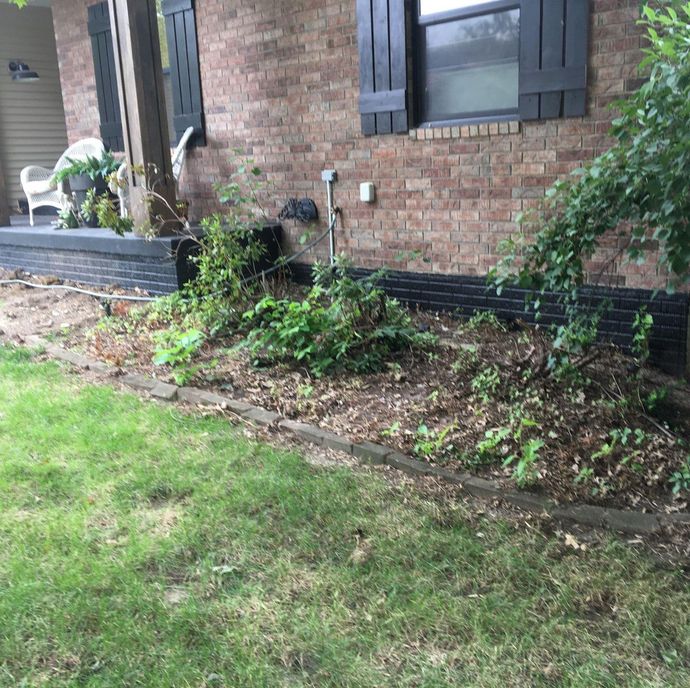 Exterior of brick house with overgrown garden and green lawn.