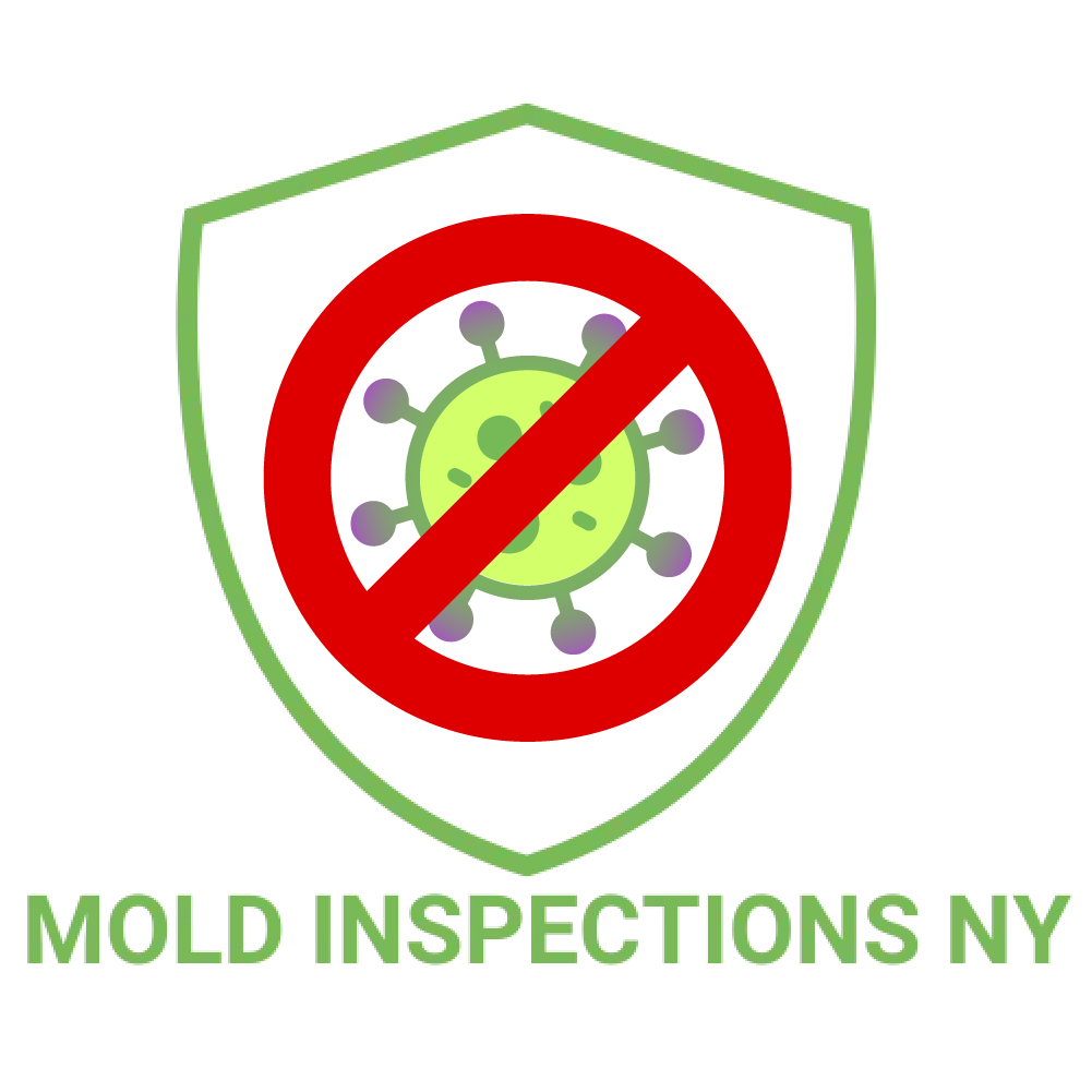 Mold Inspections NY Logo