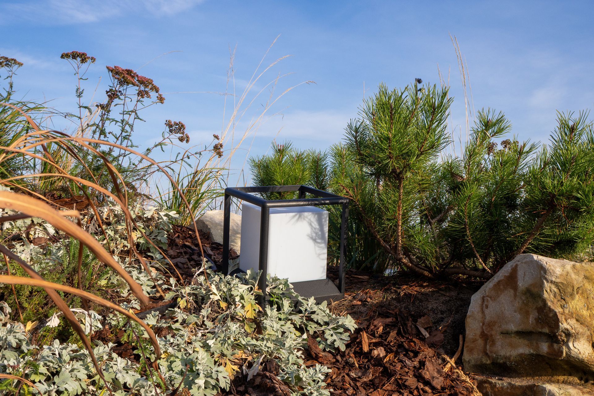 Black square outdoor lamp in garden bed with plants and rock.