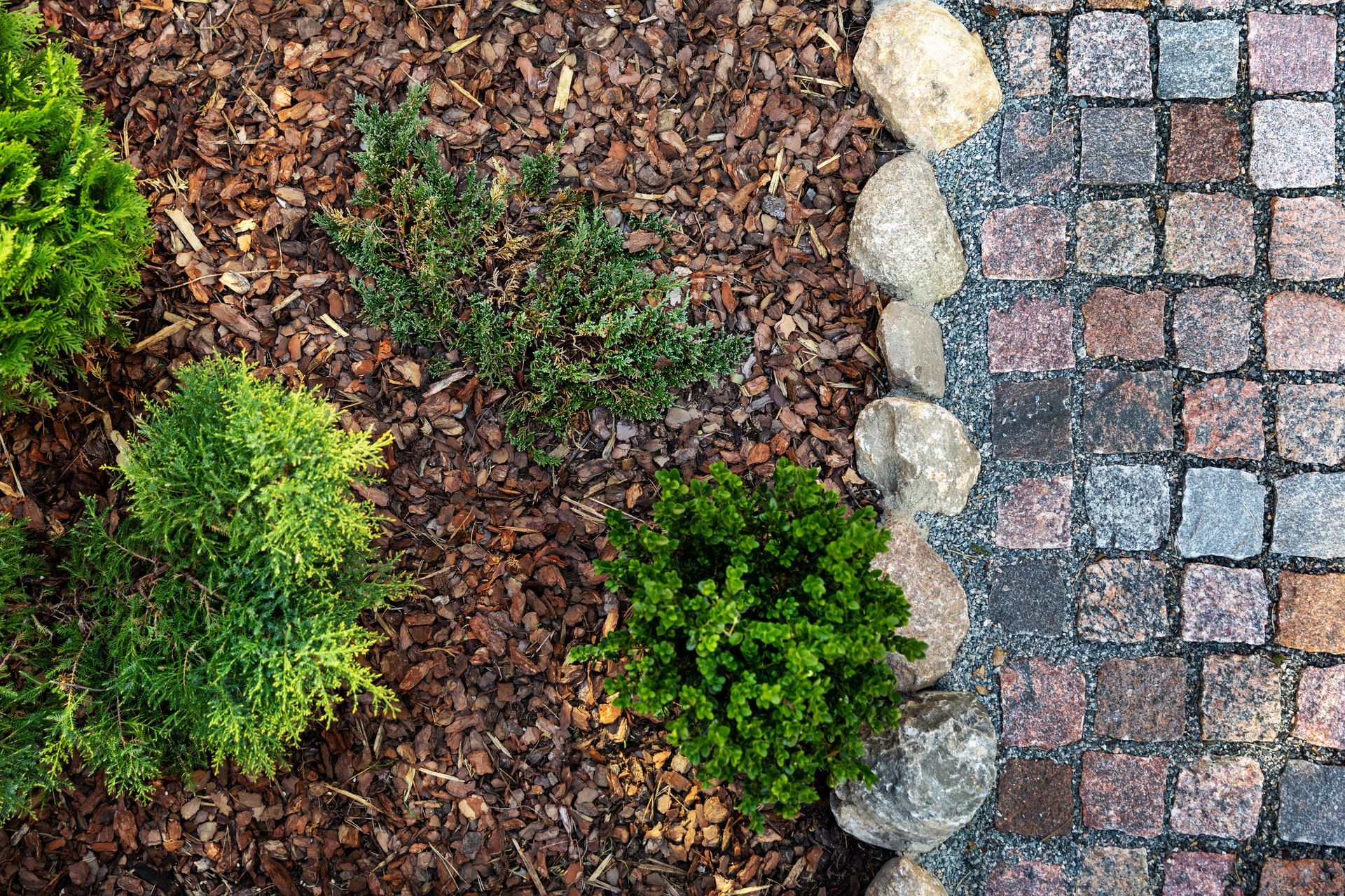 Green shrubs and mulch border a cobblestone path.