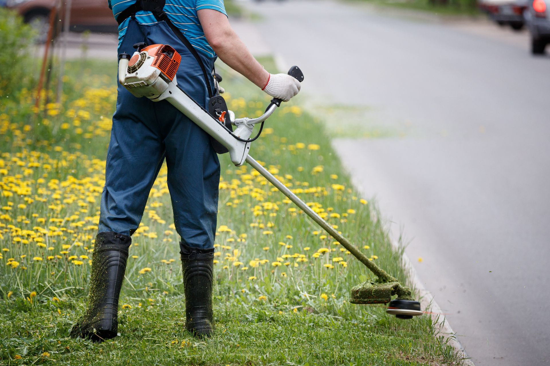 Person in blue overalls using a weed whacker on a grassy verge beside a road.
