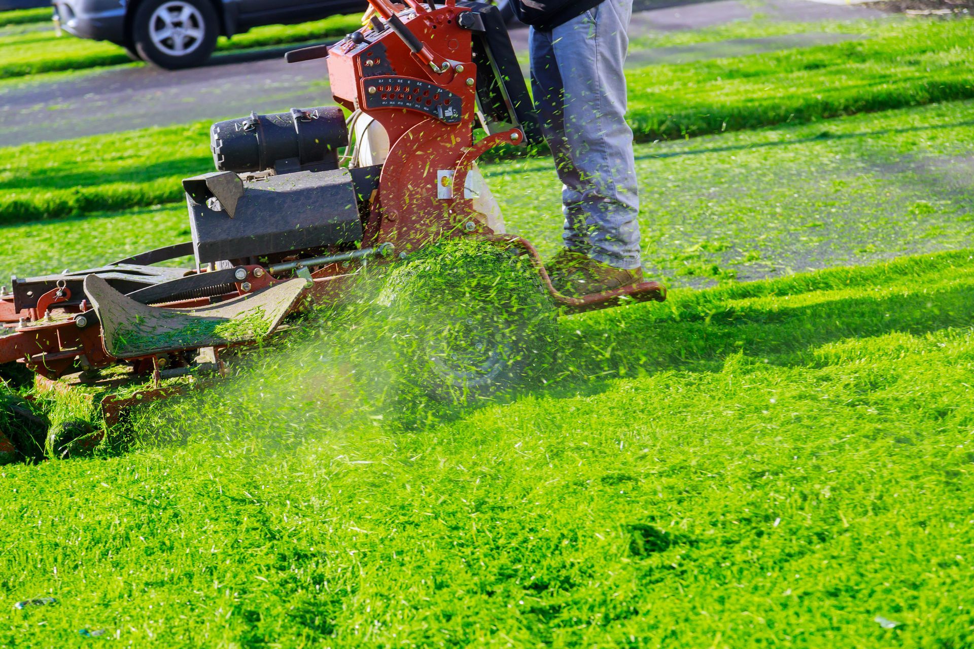 Man mowing a green lawn with a red and black lawn mower; grass clippings fly.