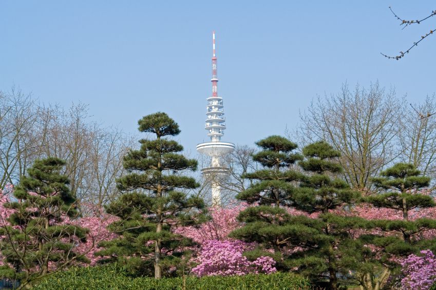Japanese Garden