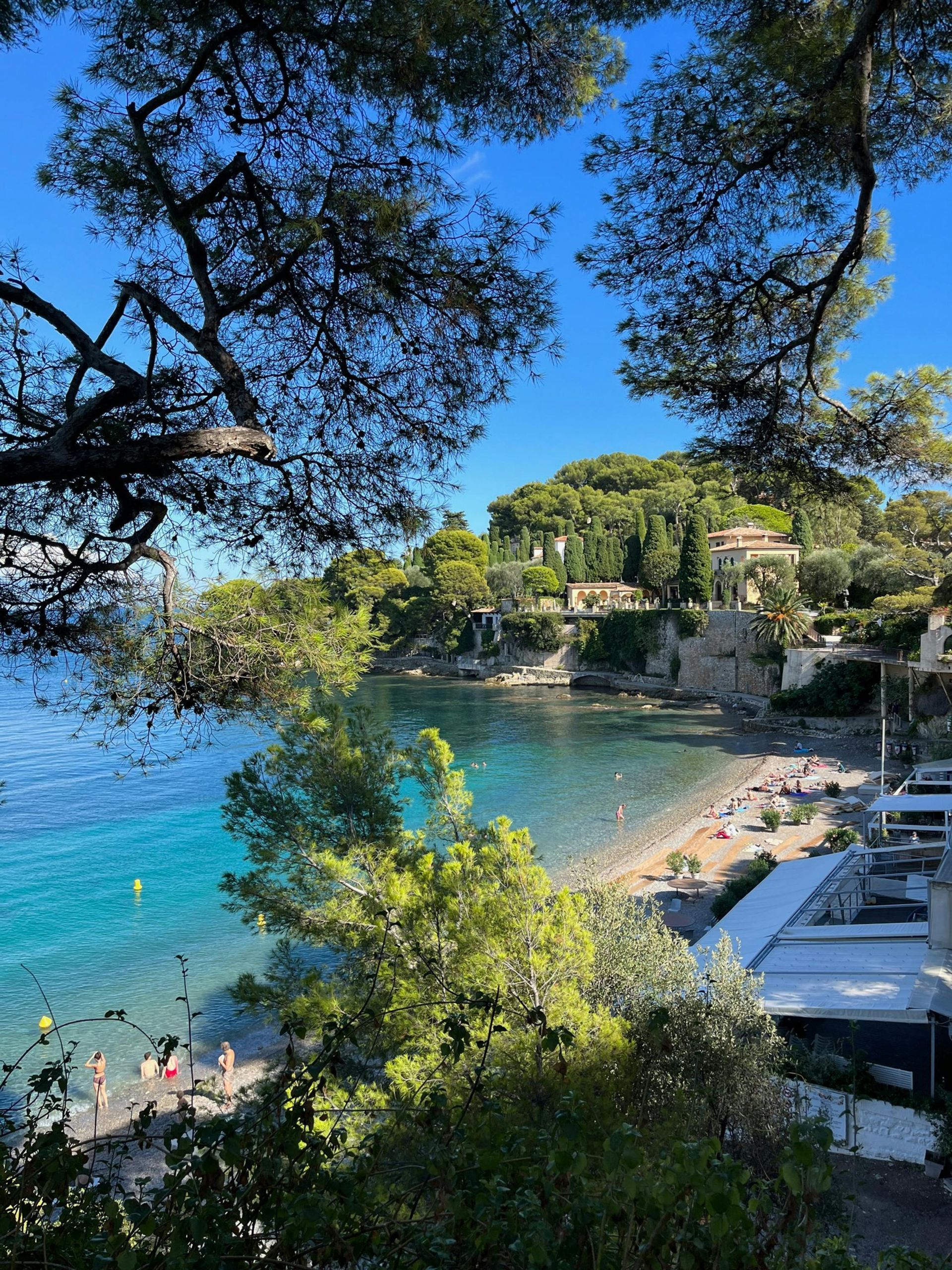 A view of a beach surrounded by trees on a sunny day