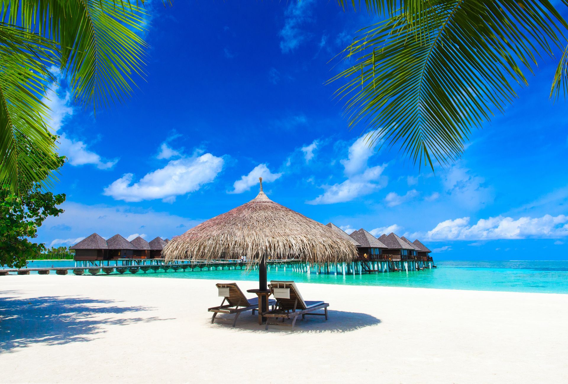 Tropical beach & water bungalows, Maldives