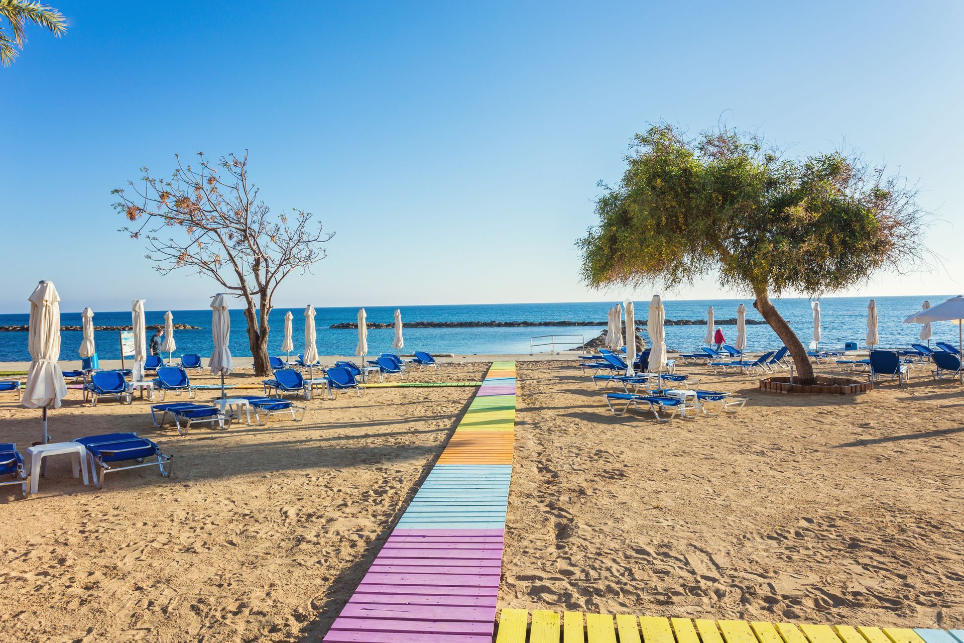 Beach and palm trees Paphos