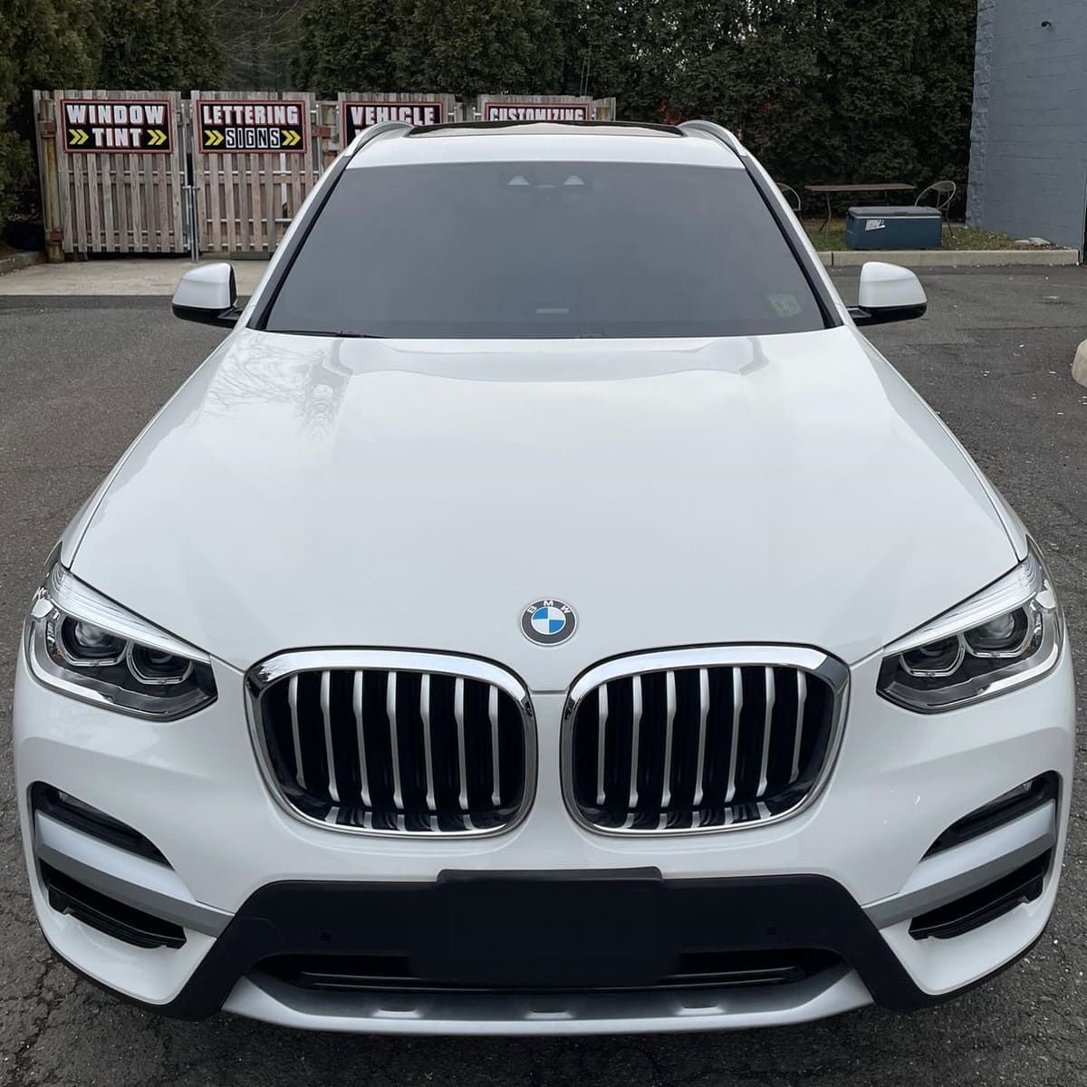 car paint protection film cost