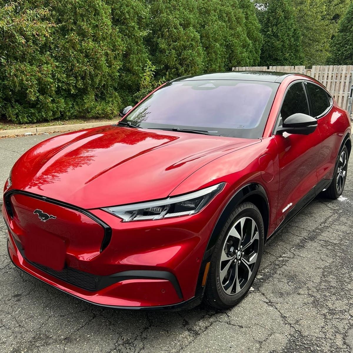 car paint protection film installers near me
