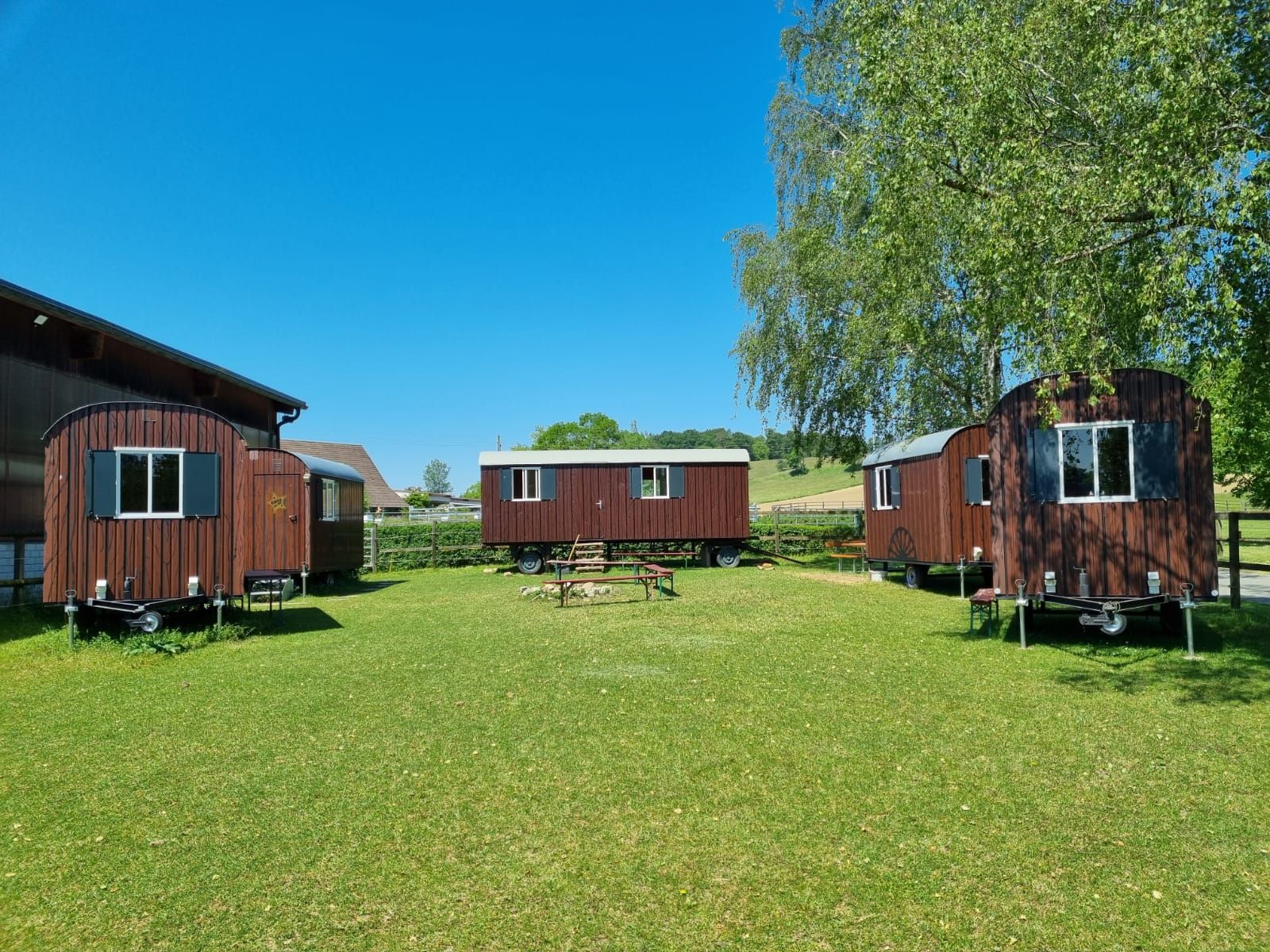 Ferien auf der CurlyRanch
