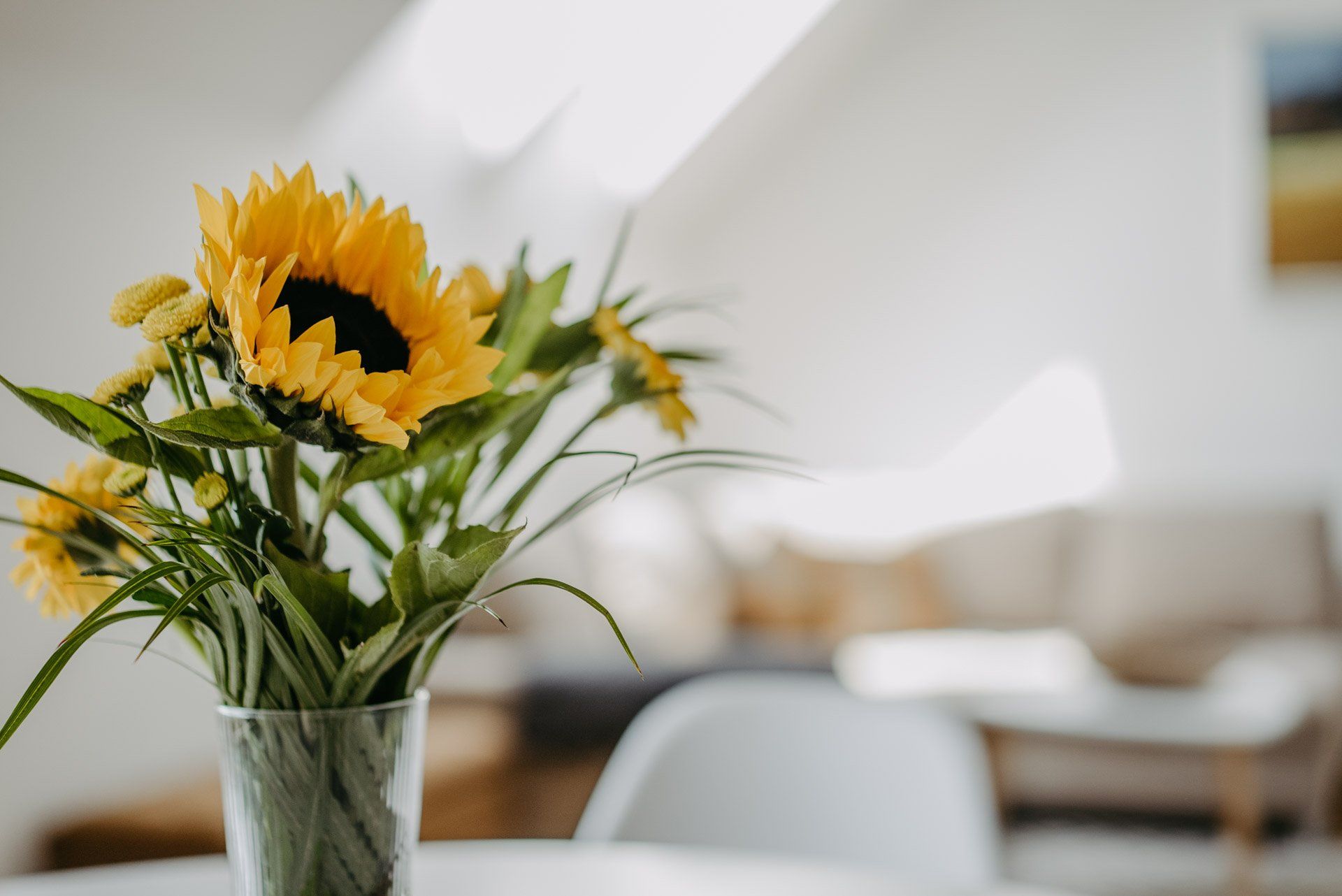 Sonnenblumen
