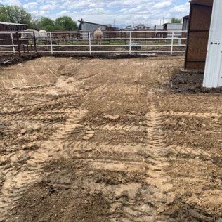 Dirt Field with Horses Inside Fence - Elizabeth, CO – NRK Skidsteer