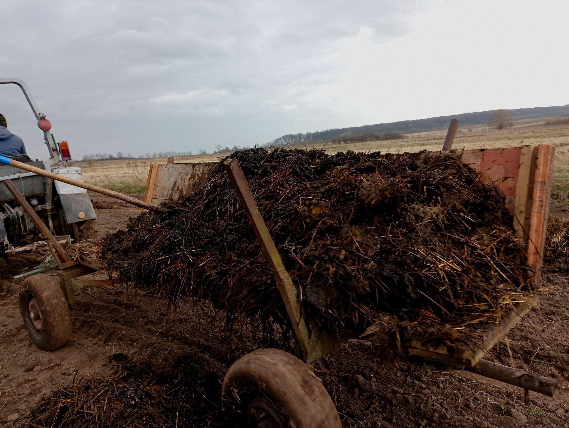 Manure Removal Service Parker, CO
