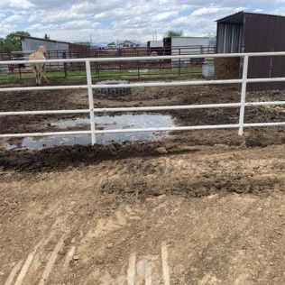 Horse Standing in Muddy Field Behind Fence - Elizabeth, CO – NRK Skidsteer Horse Standing in Muddy Field Behind Fence - Elizabeth, CO – NRK Skidsteer