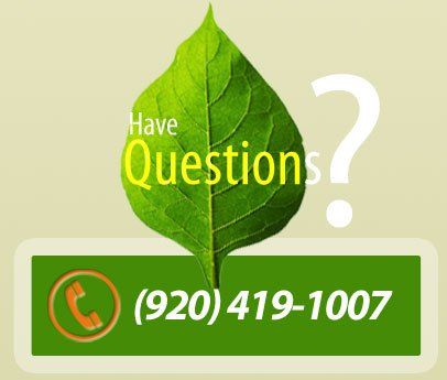 Appleton Tree Trimming service. Appleton tree service, Tree removal
