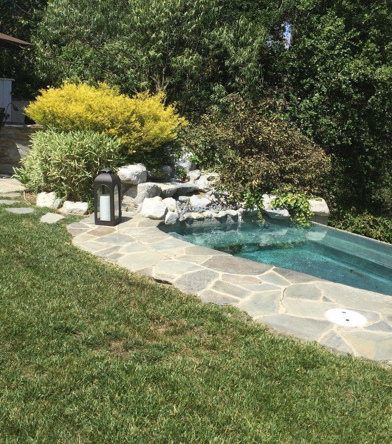 A lantern is sitting next to a swimming pool in a backyard.