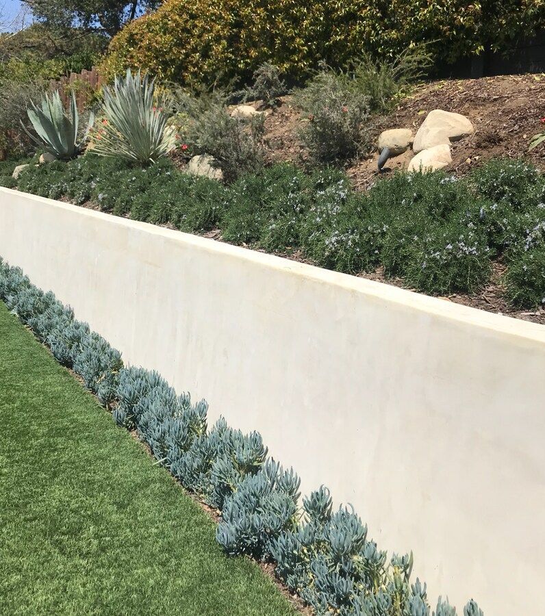 A white wall surrounded by plants and rocks in a garden.