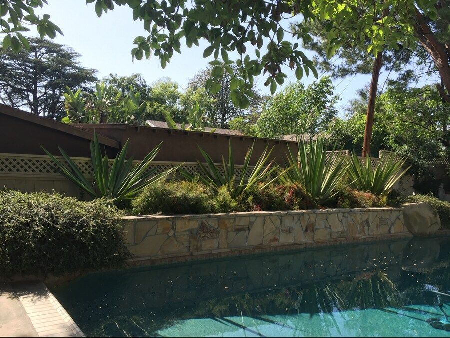 A large swimming pool surrounded by trees and bushes