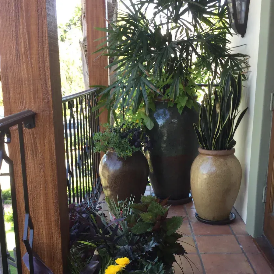 A balcony with potted plants and yellow flowers
