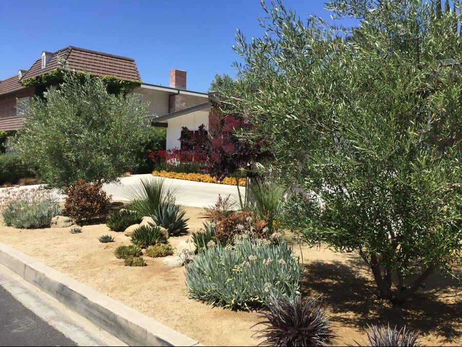 A house with a lot of trees in front of it