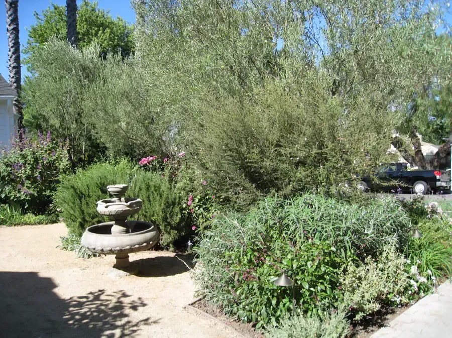 A garden with a fountain in the middle of it