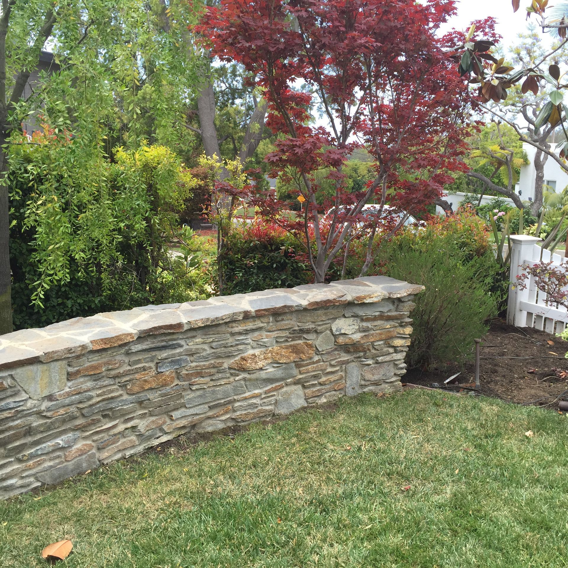 A stone wall is in the middle of a lush green garden.