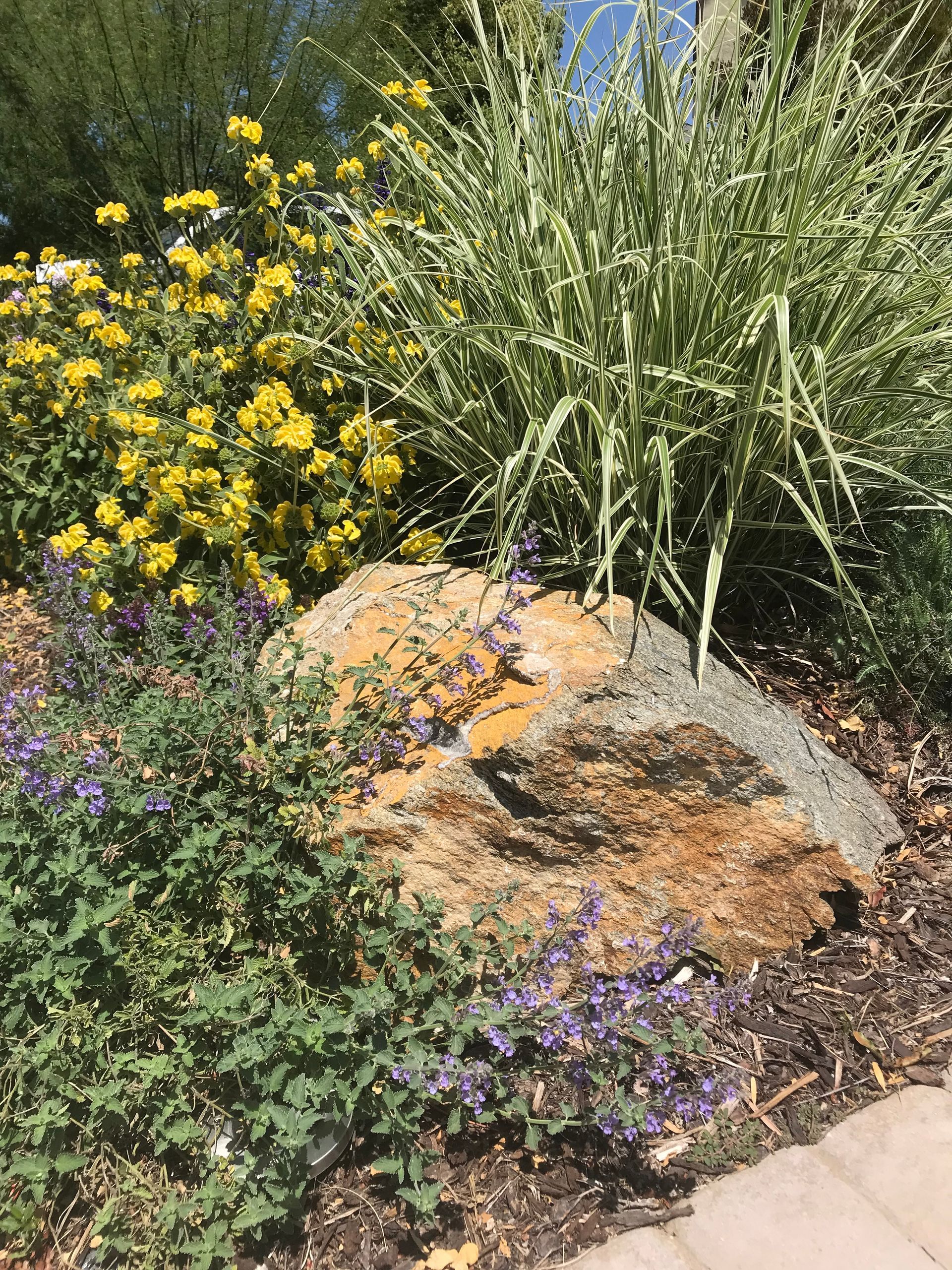 There is a large rock in the middle of a garden surrounded by flowers.