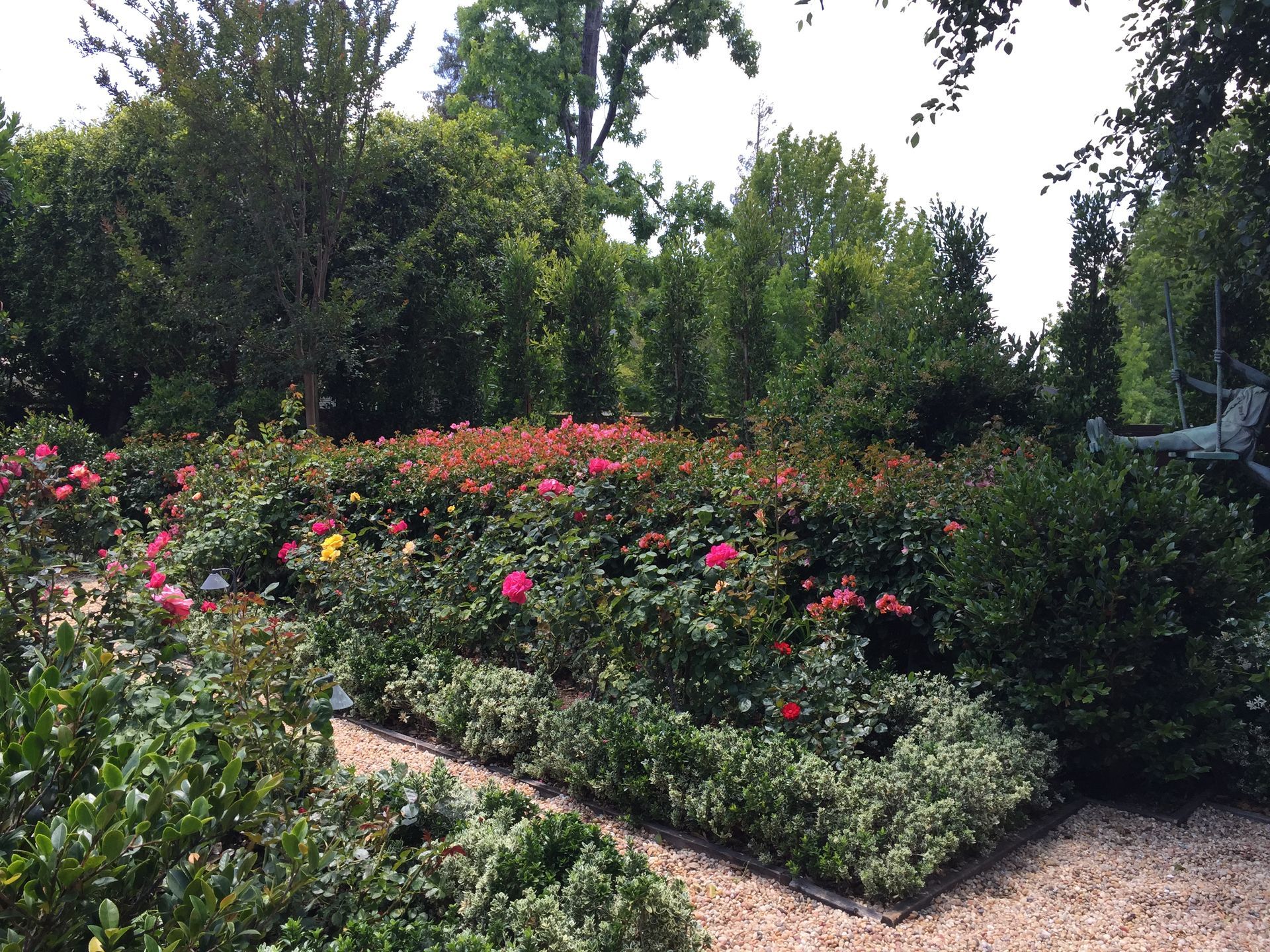 A garden filled with lots of flowers and bushes