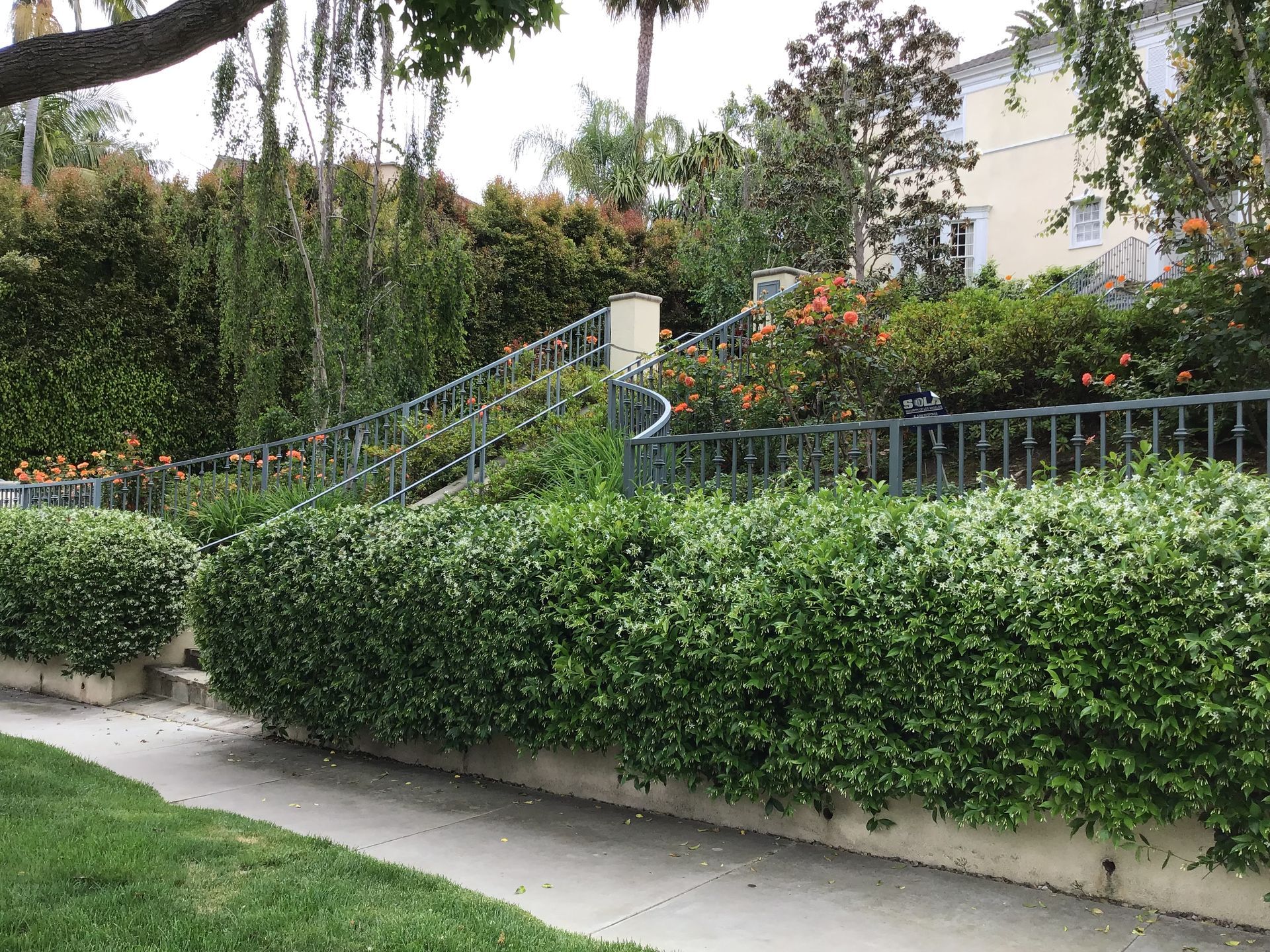 There are stairs leading up to a house behind a hedge.