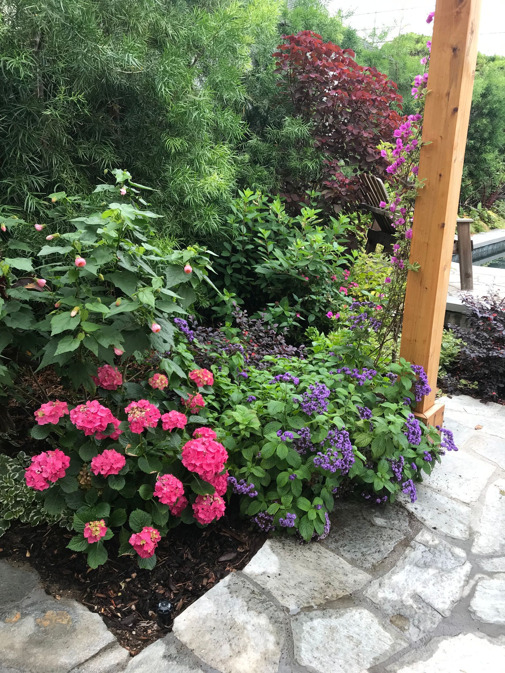 A garden with pink and purple flowers and a wooden pergola.