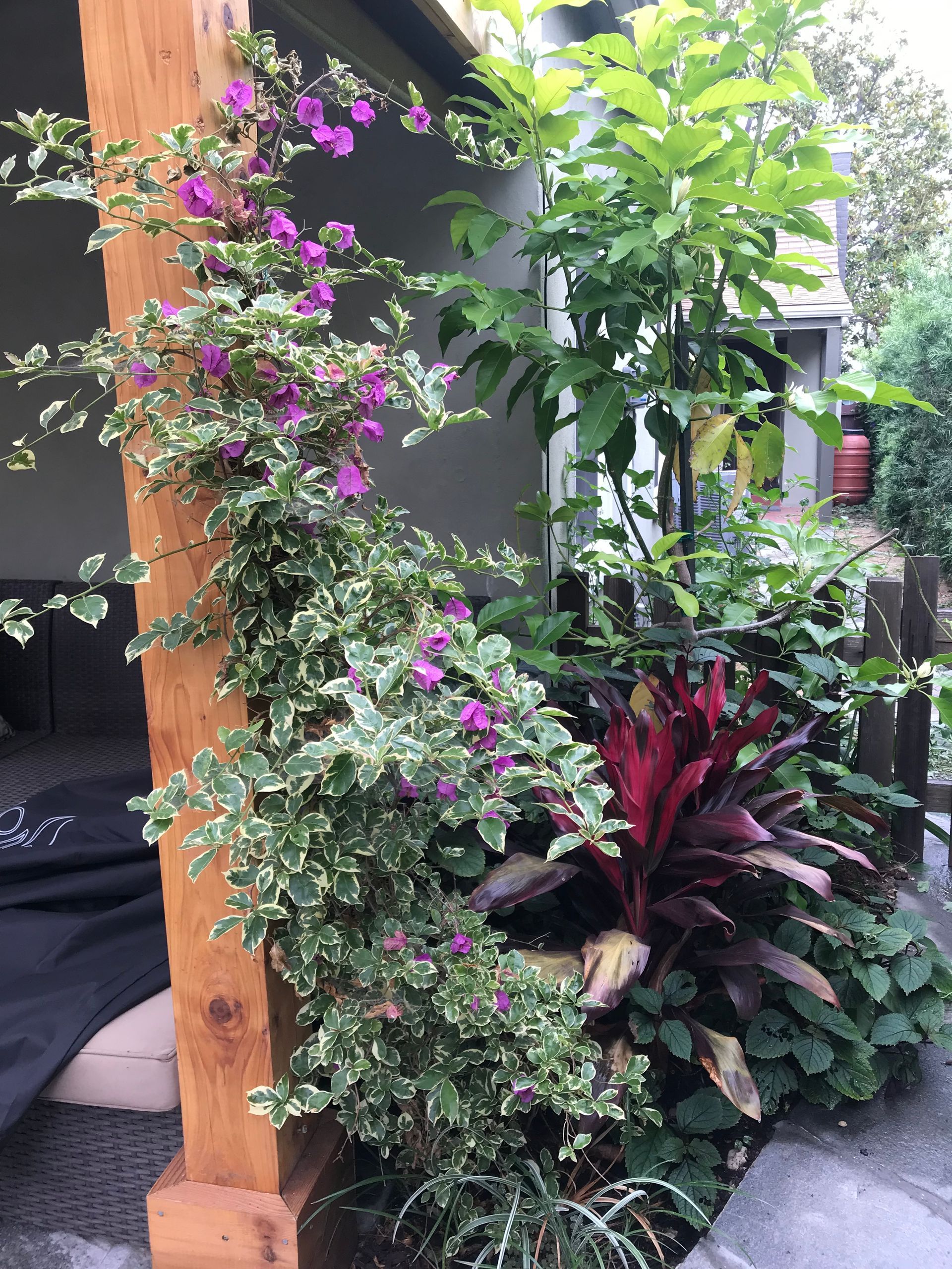 A wooden post with purple flowers growing on it in a garden.