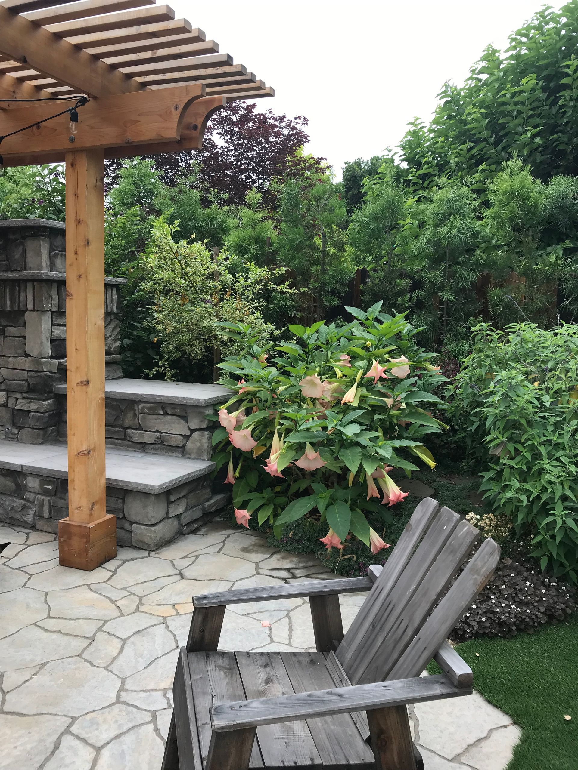 A wooden chair sits under a pergola in a garden