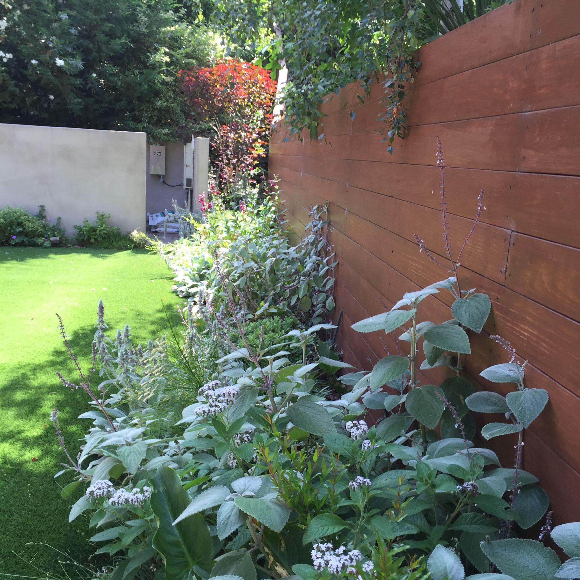 A wooden fence surrounds a lush green garden